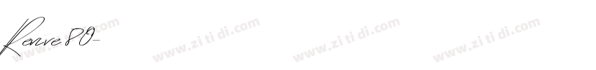 Revive 80字体转换